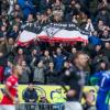 Appeal for Flags