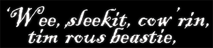 Burns-web-banner Burns-web-banner